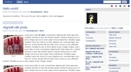 crybook facebook Social media inspired WordPress themes