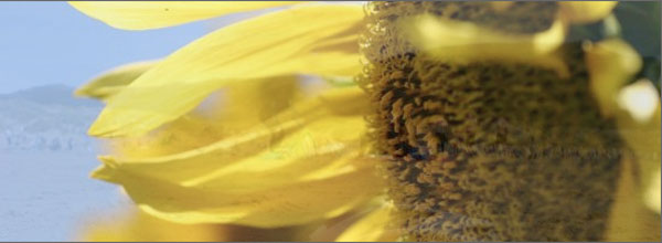 crossSlide crossSlide CrossSlide, slideshow animation JQuery Plugin