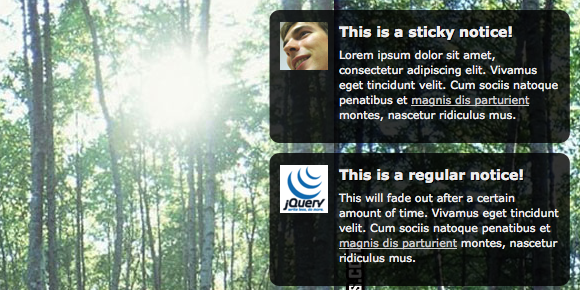 Gritter Gritter  Growl a like jQuery plugin