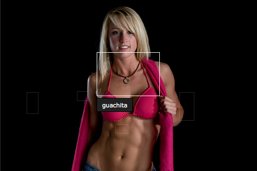 jQuery photo tagger jQuery Photo Tagger   Flickr style photo tagging jQuery plugin