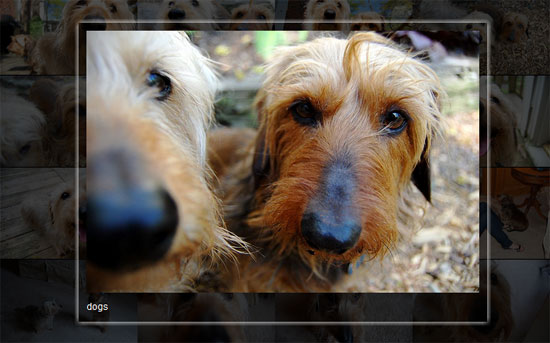 jphotogrid-screen jphotogrid screen jPhotoGrid Zoomable jQuery Image Gallery