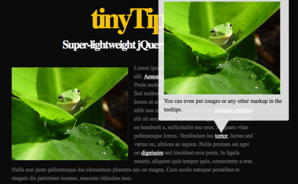 tinytips 600x370 TinyTips – Lightweight  Tooltips jQuery Plugin