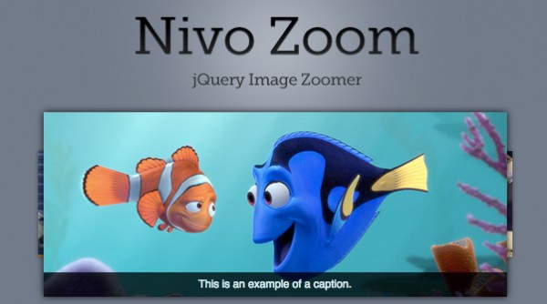 nivo-zoom nivo zoom 600x334 Nivo Zoom jQuery Image Zoomer