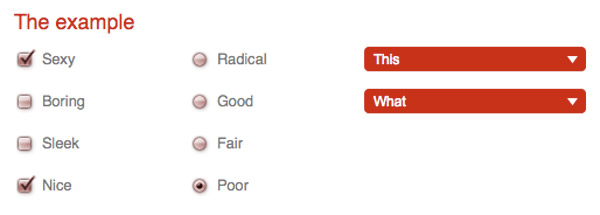 style-form-element style form element How to Style Checkboxes, Radio Buttons and Select Lists