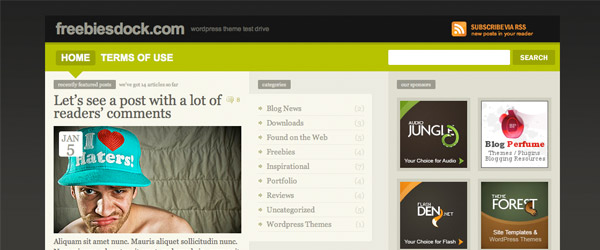 16 freemium A Collection of 25 Super High Quality WordPress Themes