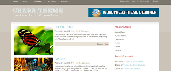 20 chara A Collection of 25 Super High Quality WordPress Themes