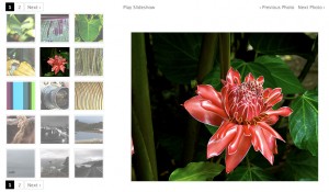 galleryfic 300x175 galleryfic