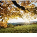 Touchwipe - iPhone, iPad, iPod Touch Wipe Effect jQuery Plugin