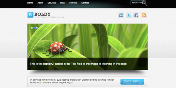 boldy boldy 20 Excellent Free Wordpress 3.0 Themes