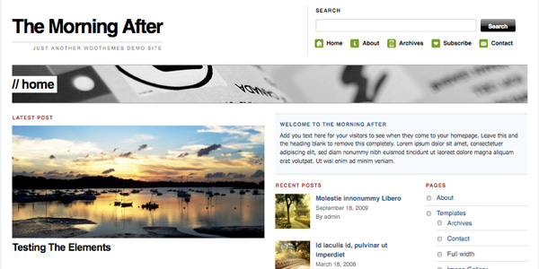 themorningafter themorningafter 20 Excellent Free Wordpress 3.0 Themes