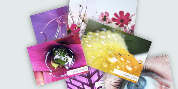 Image gallery with CSS3  25 Excellent CSS3 Animations