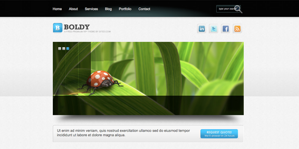 boldy boldy 13 New and Free High Quality Wordpress Themes