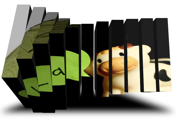 c3ox cu3ox   Free 3D Flash Gallery