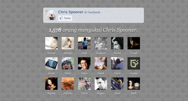 facebook_page facebook page How To Customise Facebook Like Box