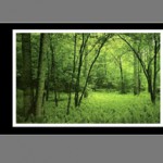 jQuery Thumbnail Scroller - Thumbnail Scroller Plugin for jQuery