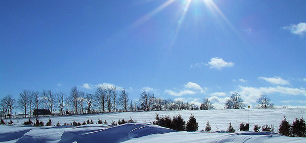 snowy winter 007 35 Examples of Beautiful Winter Photography