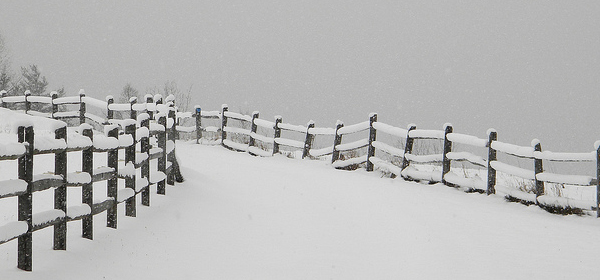 snowy winter 016 35 Examples of Beautiful Winter Photography