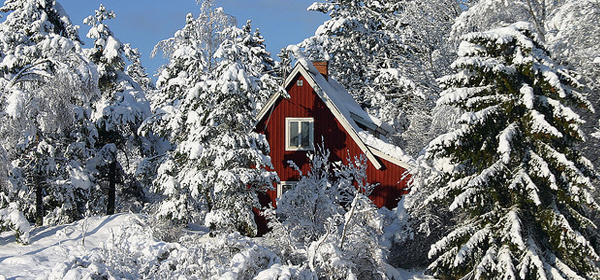 snowy winter 022 35 Examples of Beautiful Winter Photography