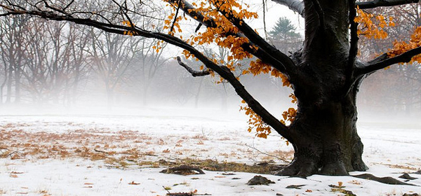 snowy winter 029 35 Examples of Beautiful Winter Photography