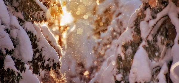 snowy winter 034 35 Examples of Beautiful Winter Photography