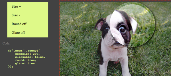 zoomy Zoomy   Quick & Easy Zooming Image