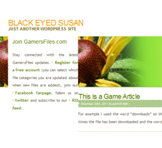 blackeyedsusan Black Eyed Susan