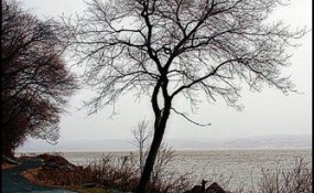 63 285x175 10 Nifty Image Slideshow Effects with jQuery