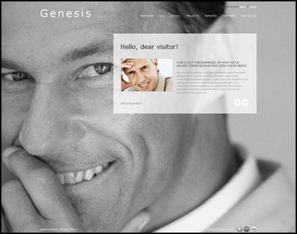 Business WP Theme in Monochrome Colors 15 WordPress Business Themes