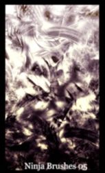 Ninja Brushes 05 and Fractals 15 First Quarter Photoshop Brush Packs for 2012