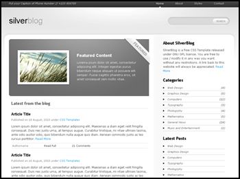 SilverBlog SilverBlog 40 Free HTML5 and CSS Templates