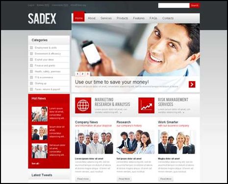 Strict and Serious WP Theme 15 WordPress Business Themes