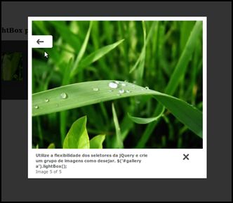 Rellightbox Automatically Add rel=”lightbox” To All Embedded Images In A Post