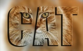 ScreenHunter 252 Sep. 17 10.56 285x175 ScreenHunter 252 Sep. 17 10.56