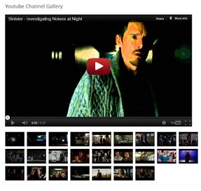 ScreenHunter 1866 Mar. 05 06.08 YouTube Channel Gallery WP Plugin