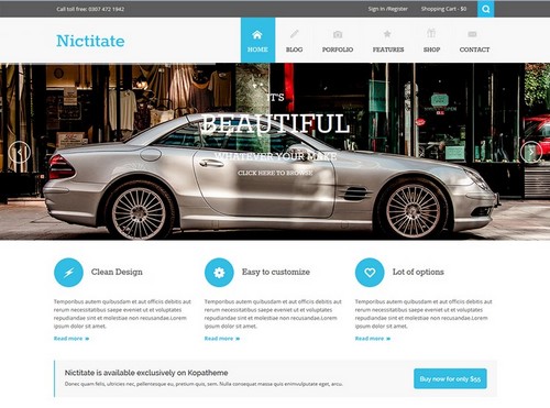Nictitate-wordpress-theme