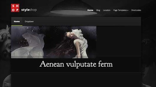 styleshop-wordpress-theme