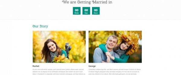 zenith-wordpress-theme