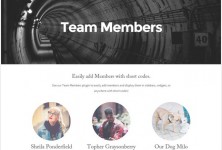 proper-lite-wordpress-theme