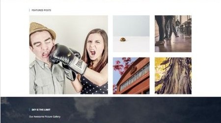 zifer-child-wordpress