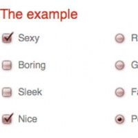 How to Style Checkboxes, Radio Buttons and Select Lists